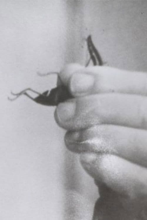 友達に逢う列車