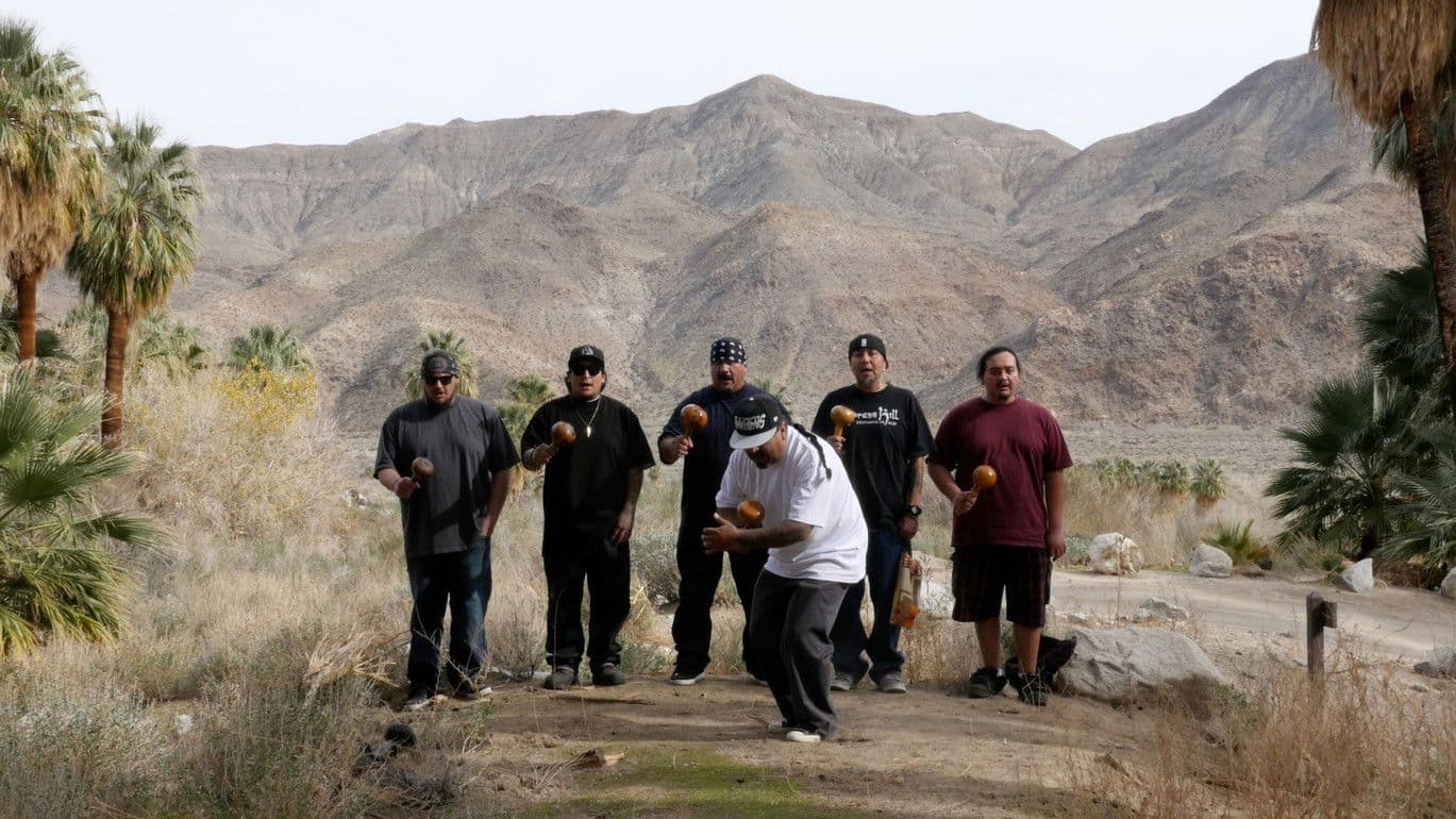 Among the Palms the Bomb, or: Looking for reflections in the toxic field of plenty