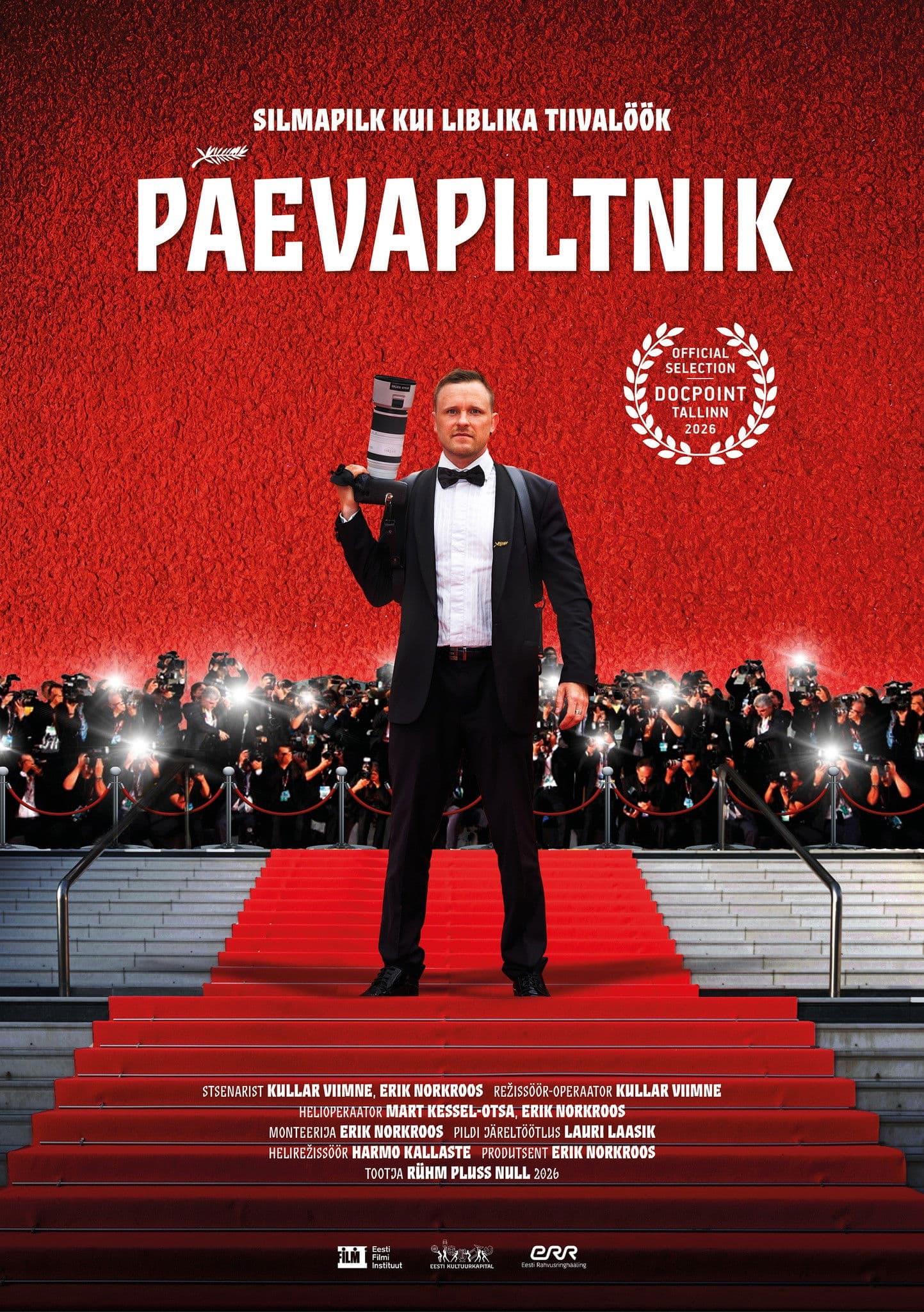 The Daily Photographer