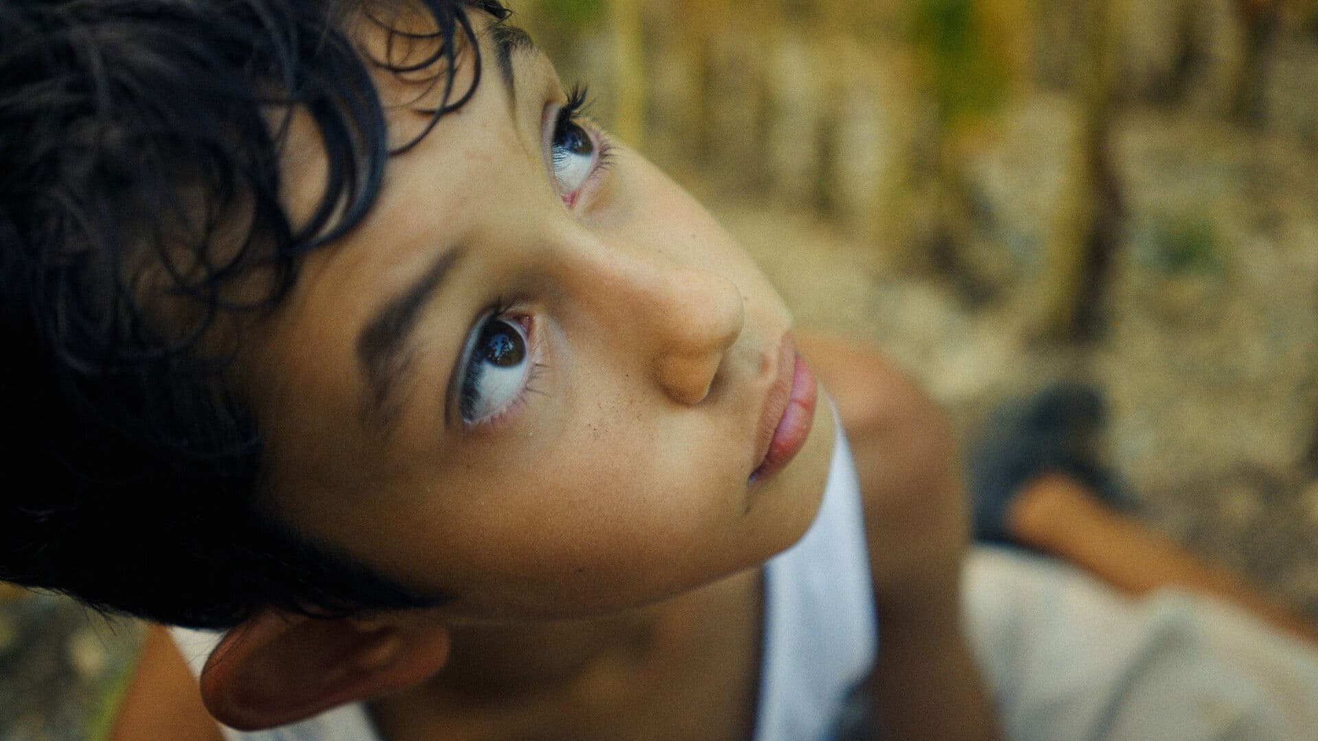 Flowers Wear No Shoes