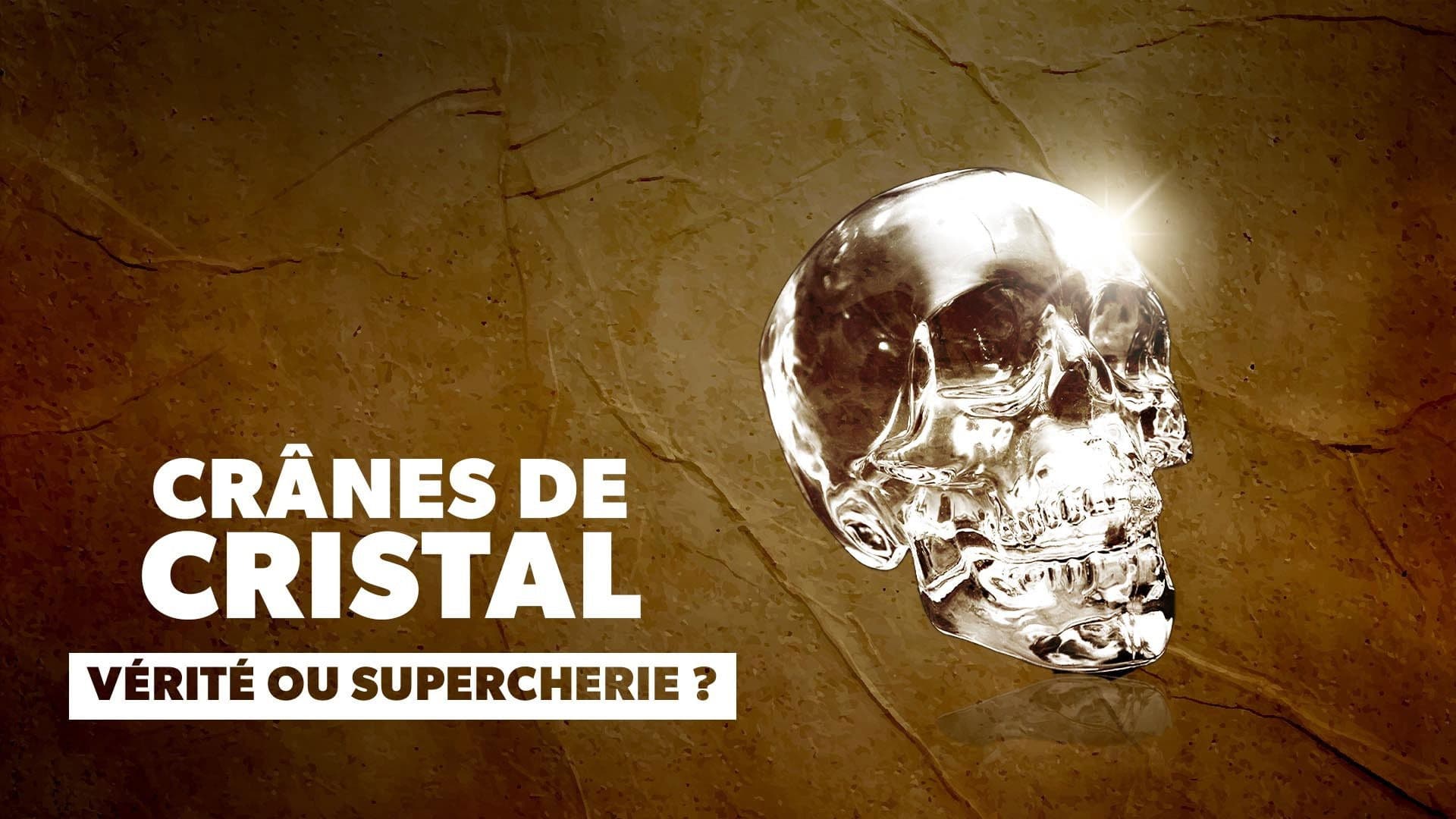 Crânes de cristal : vérité ou supercherie ?