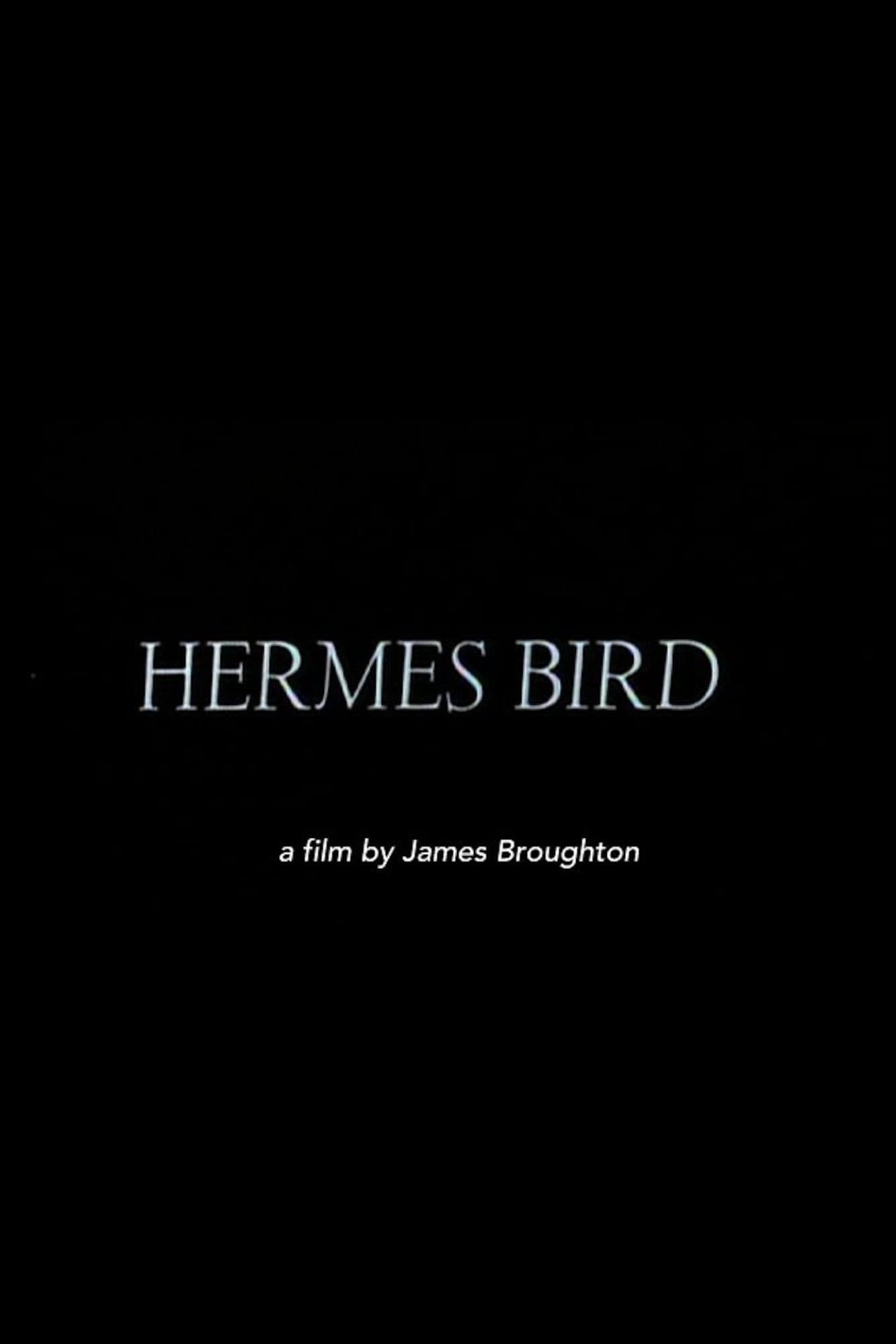 Hermes Bird