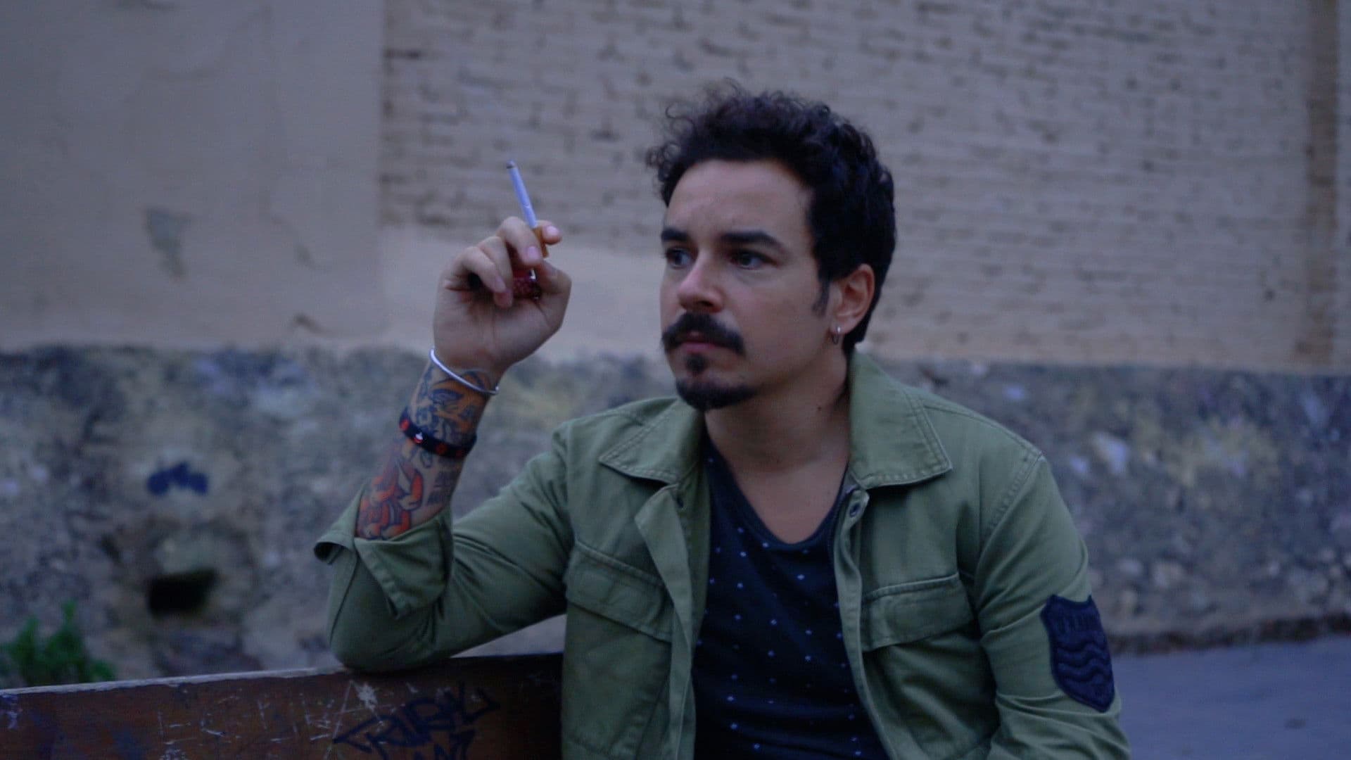 Reflections of a society