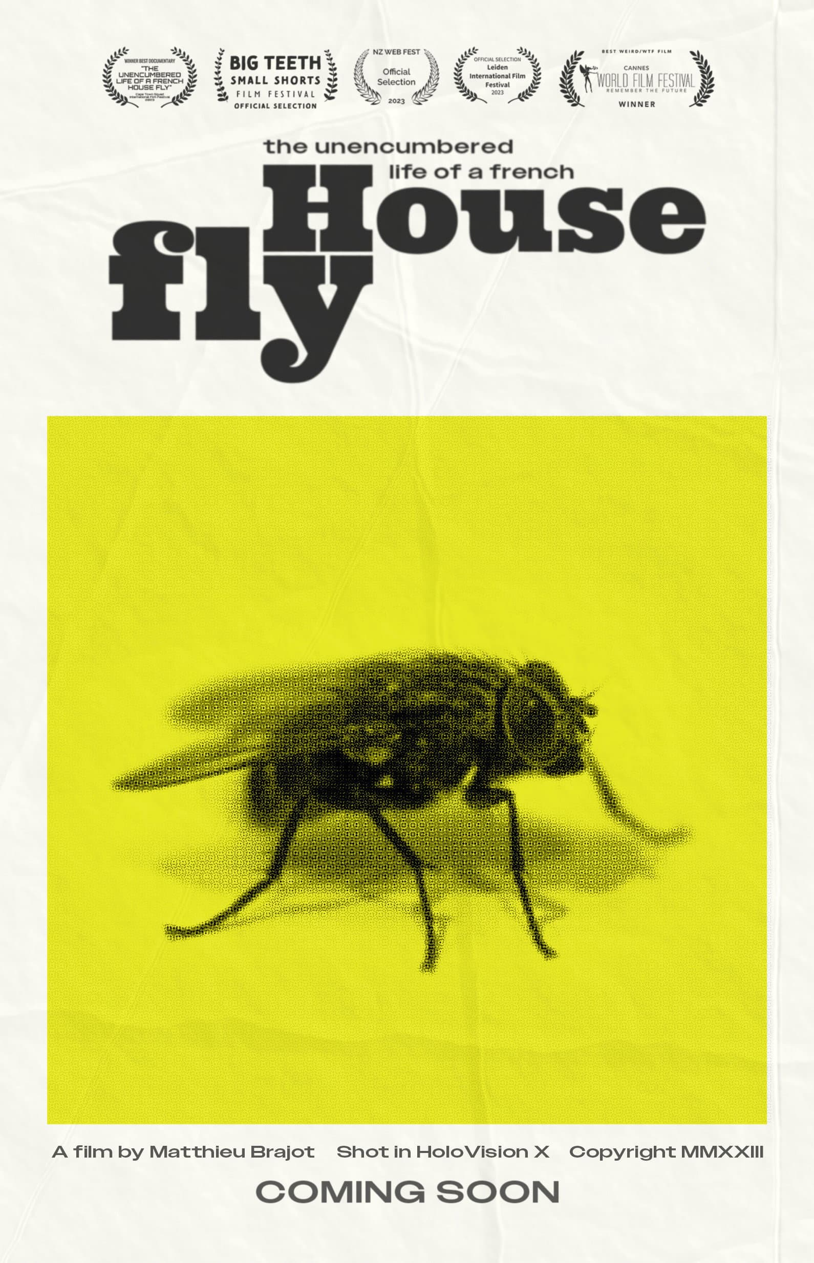 The Unencumbered Life of a French House Fly