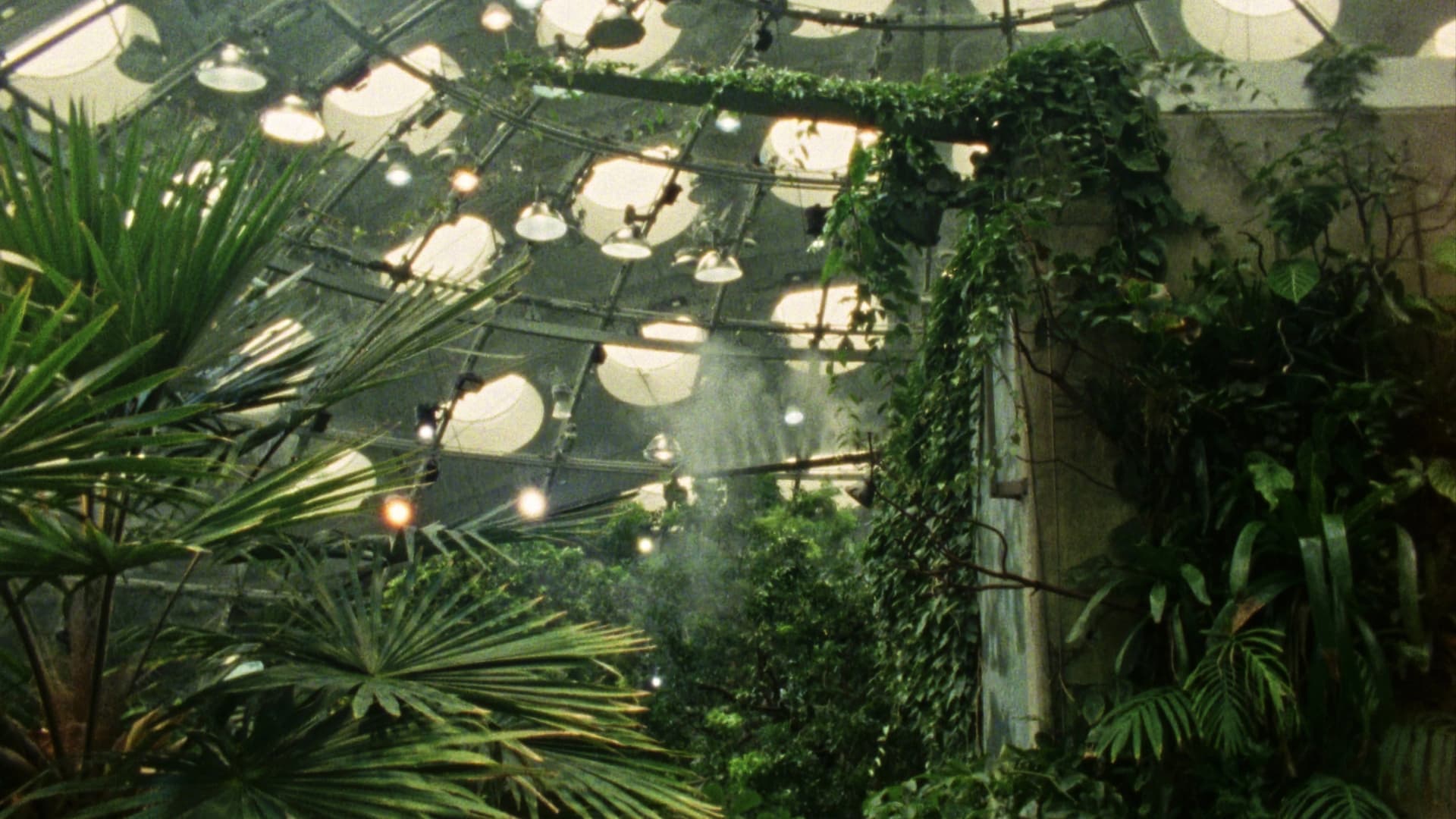 Tropical Fractals