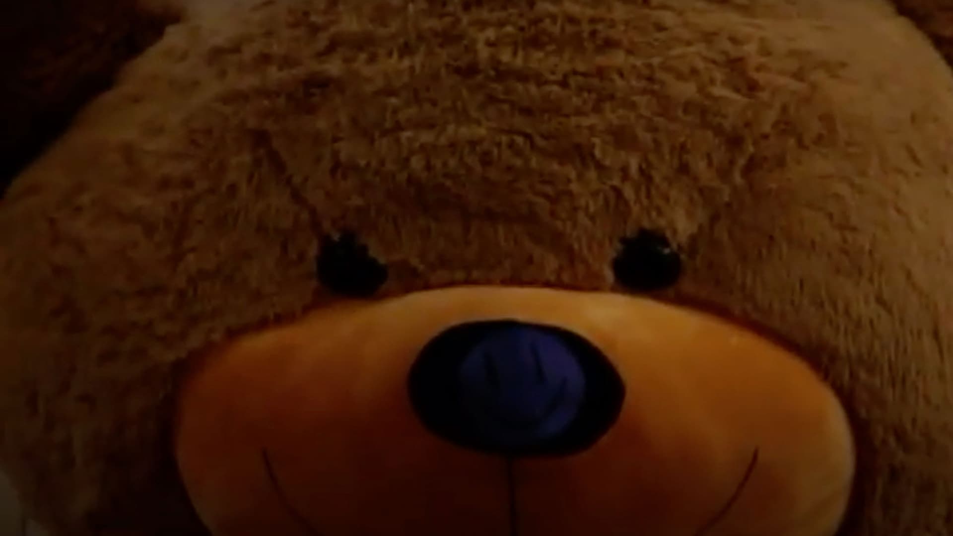 Steven's Last Night in Town