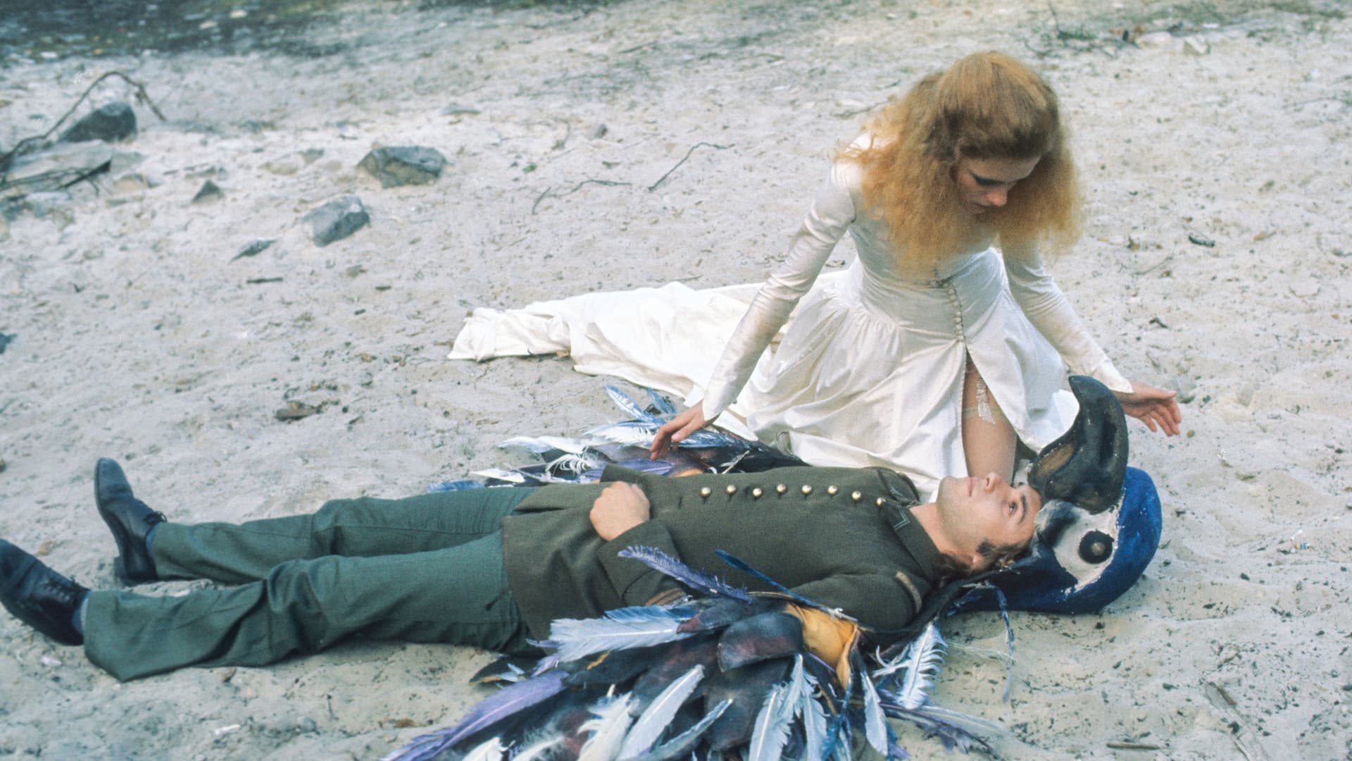 A Dream Longer Than the Night