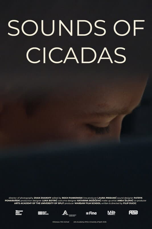 Sounds of Cicadas