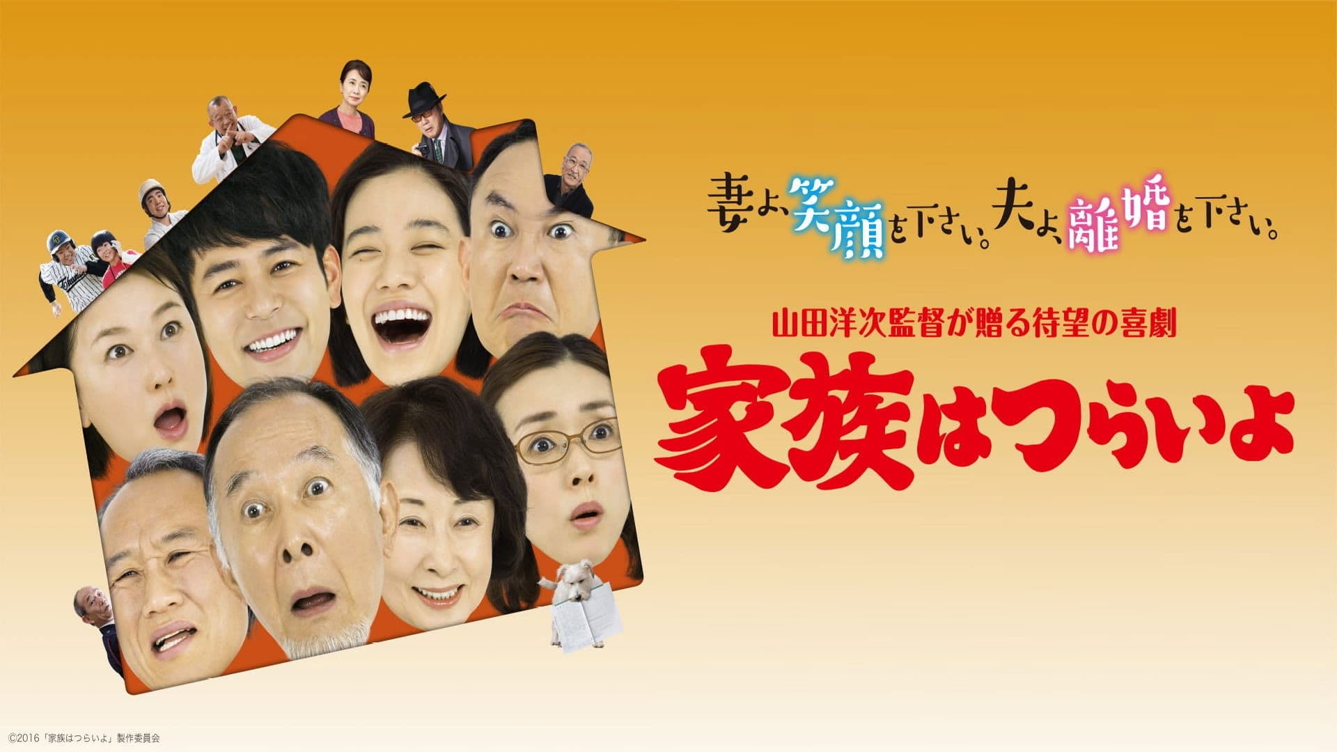 What a Wonderful Family Collection