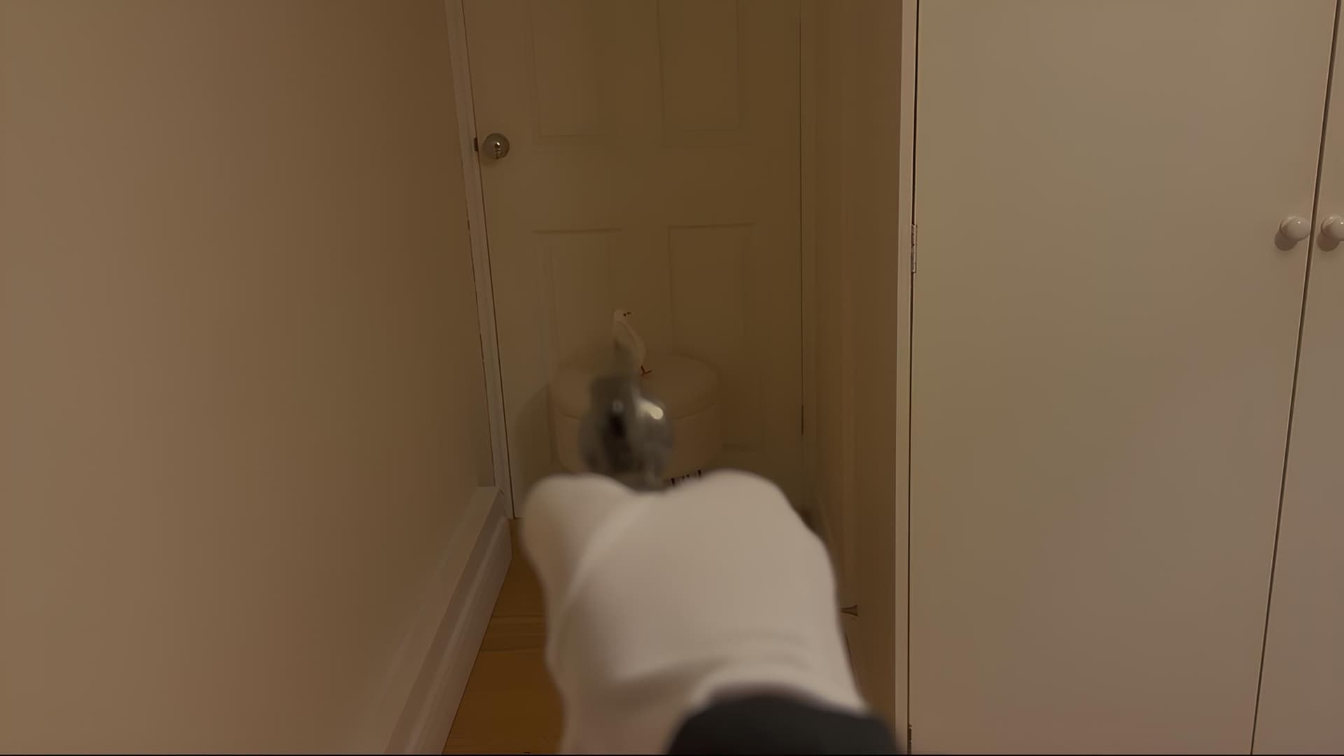 Bird, Oh Bird