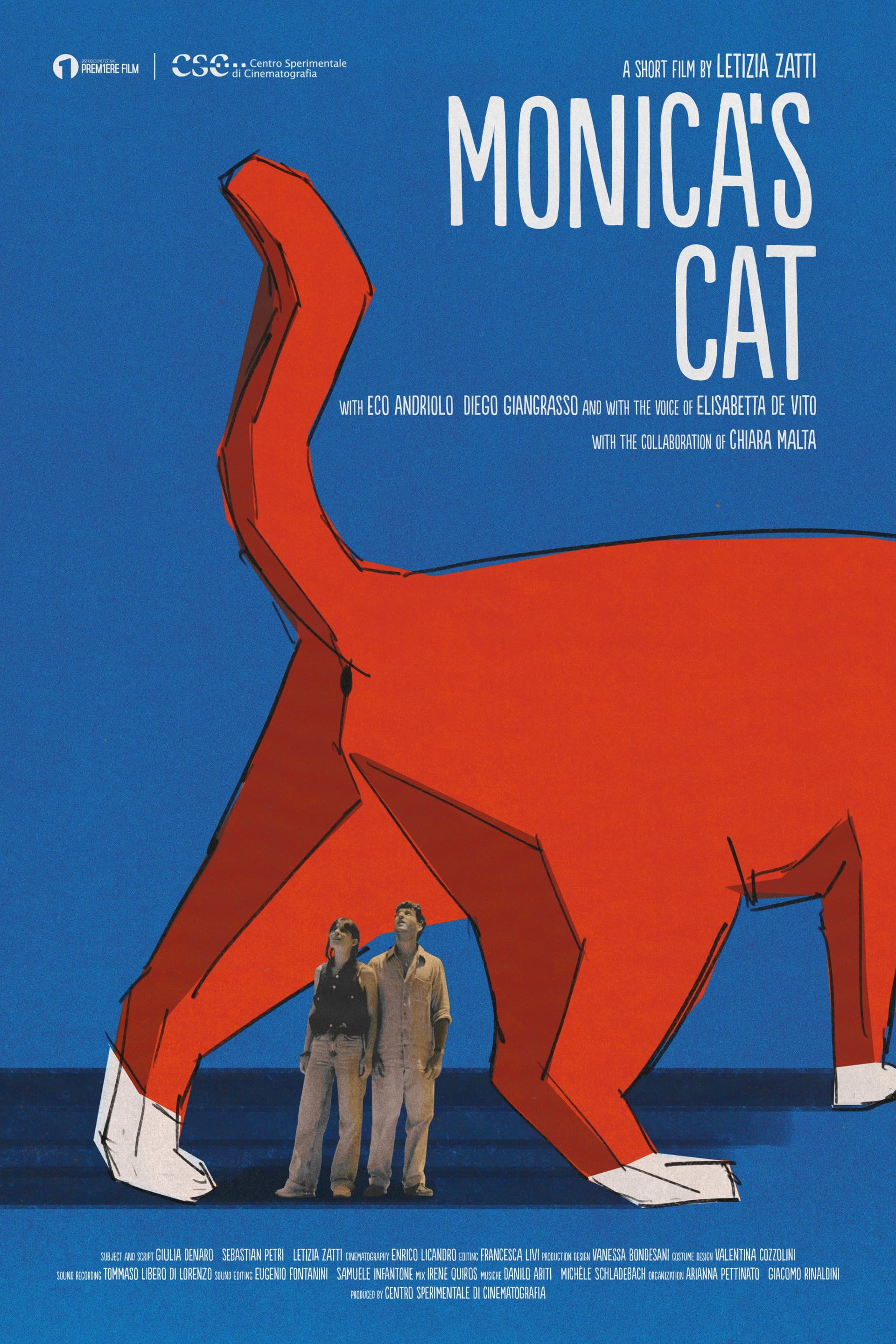 Il Gatto di Monica