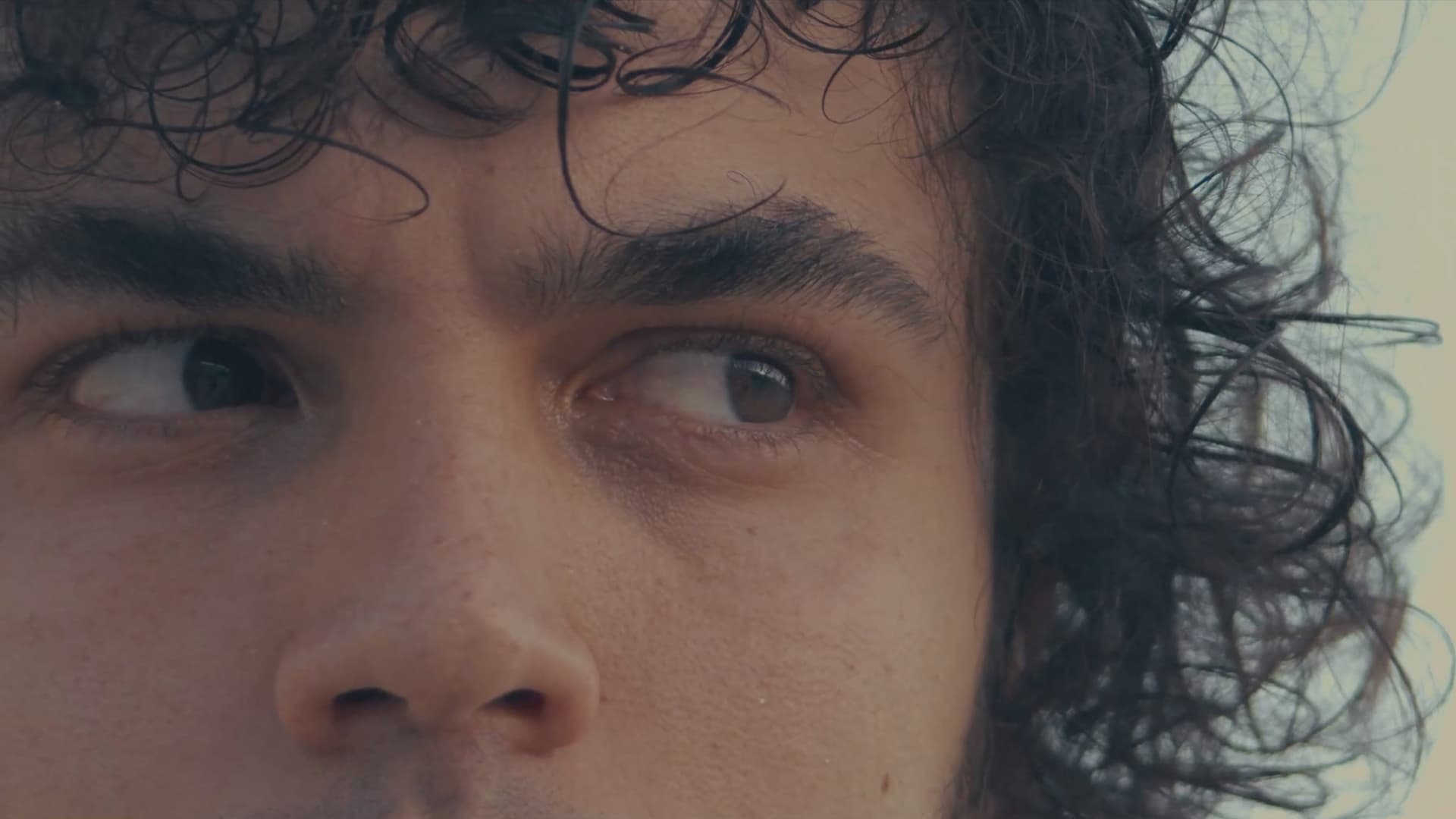 Aqui Comem Os Pombos