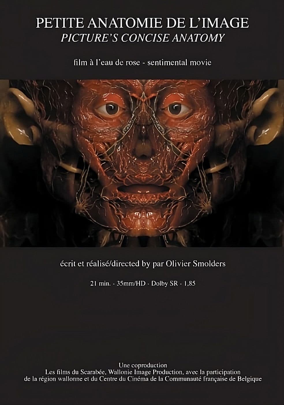 Petite anatomie de l'image