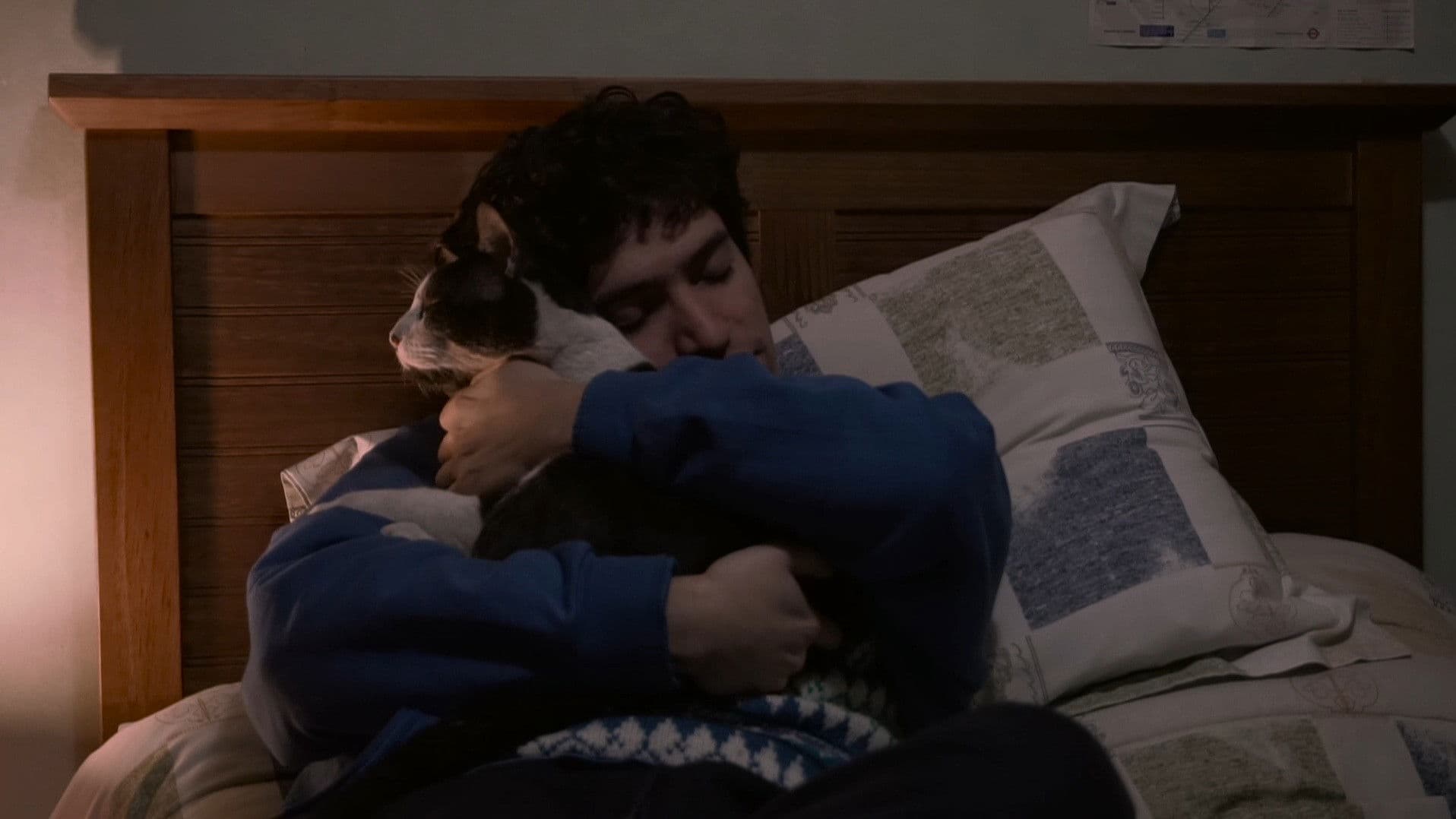 The Palm Trees (Documentary Niños del Cerro)