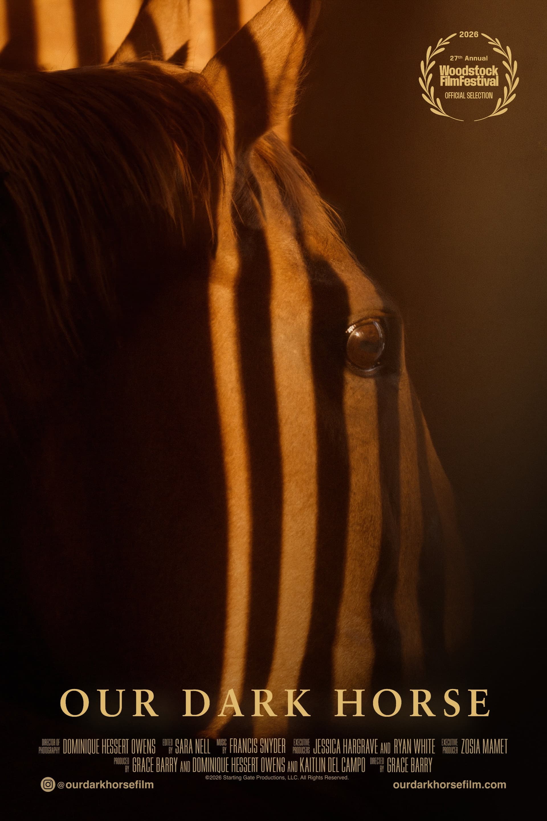 Our Dark Horse