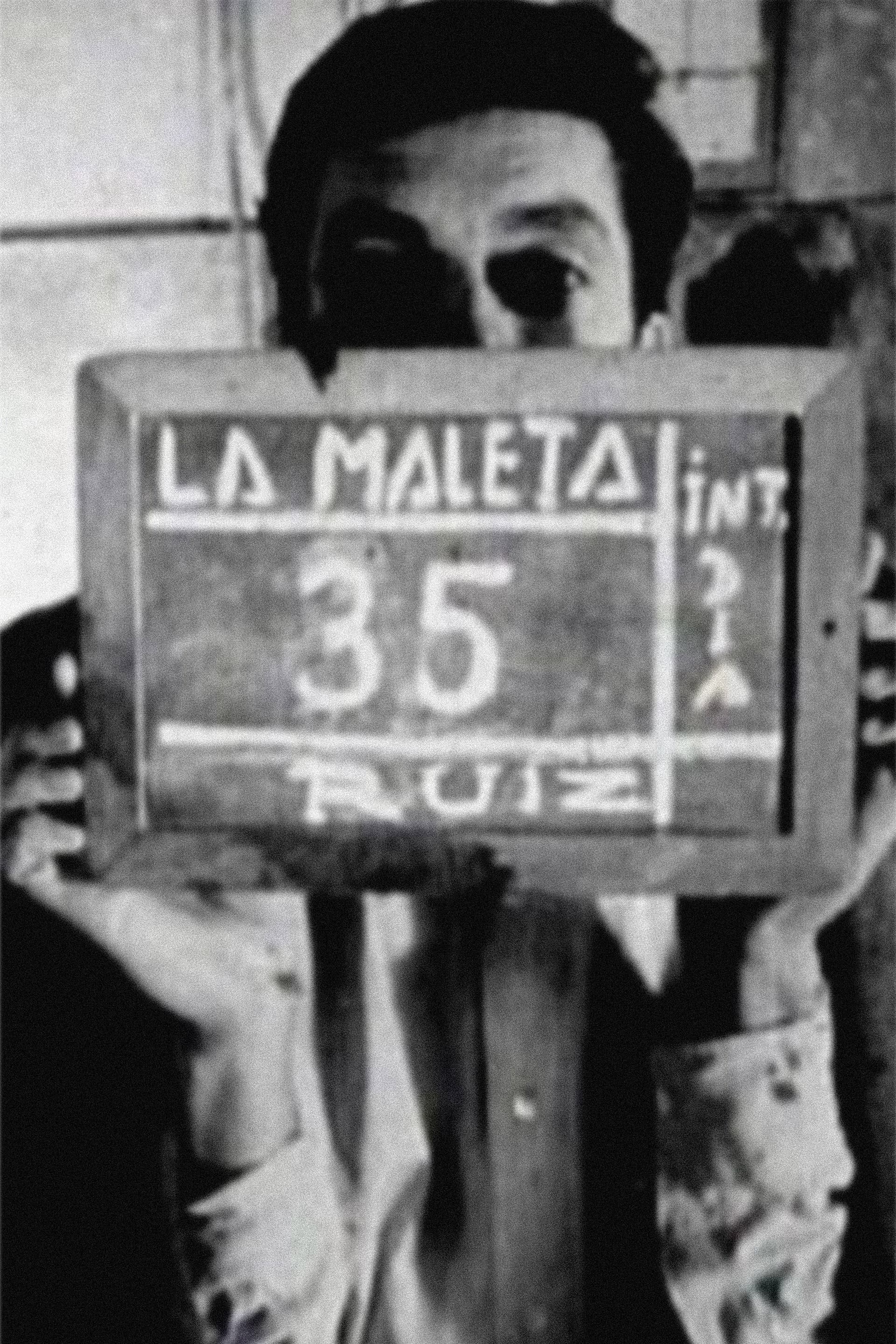 The Suitcase