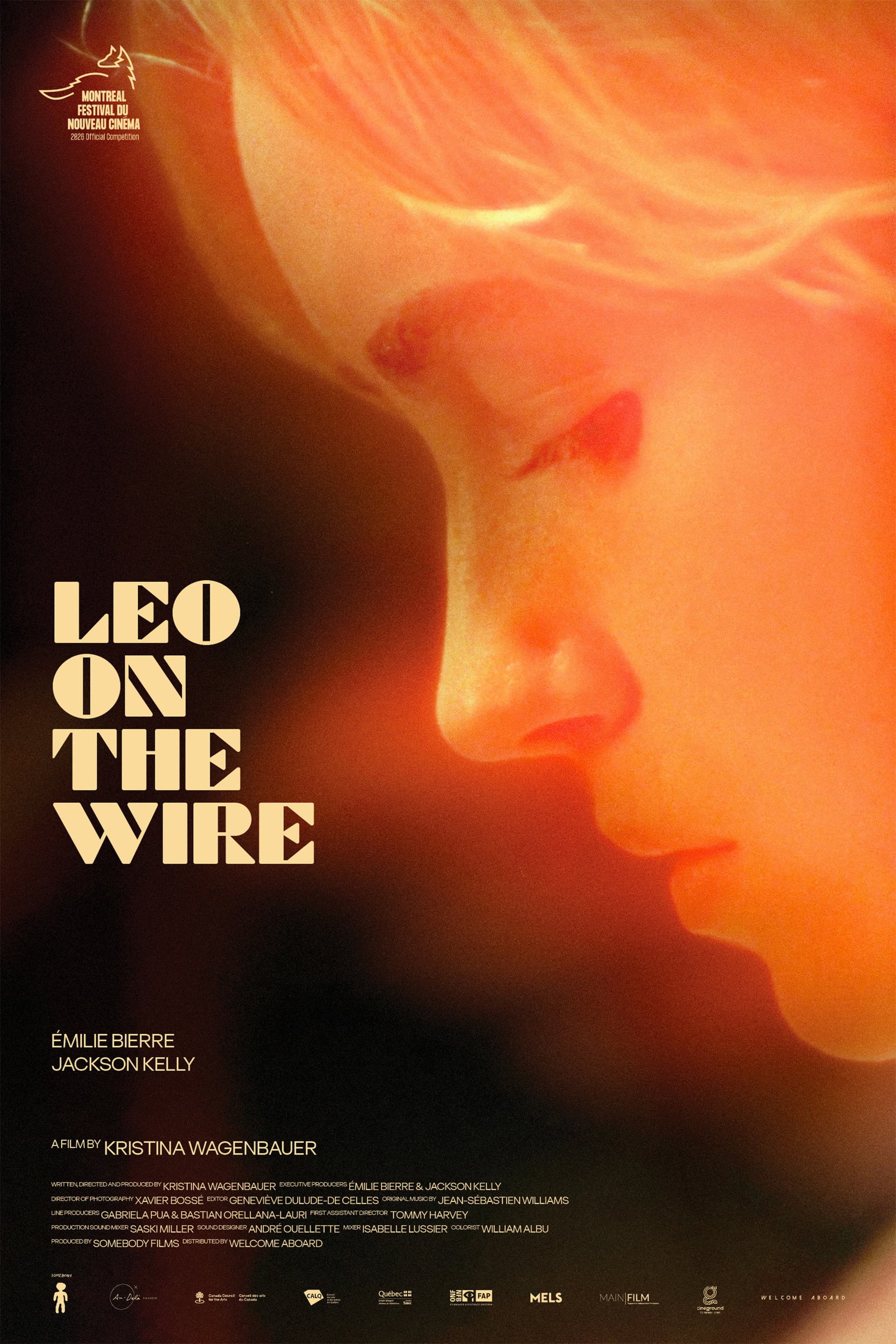 Leo on the Wire