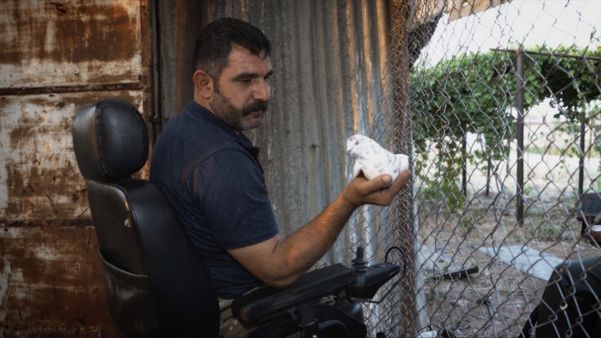The Phantom Pain of Rojava