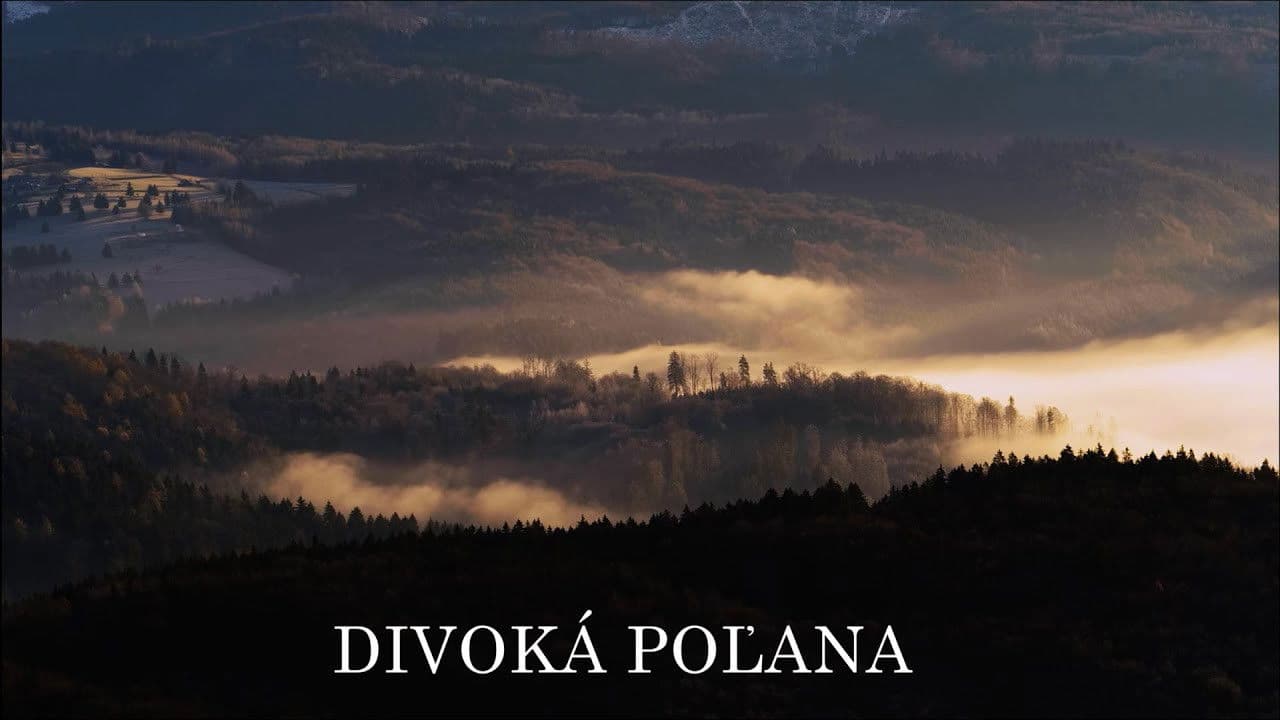 Divoká Poľana: Vlci z Poľany