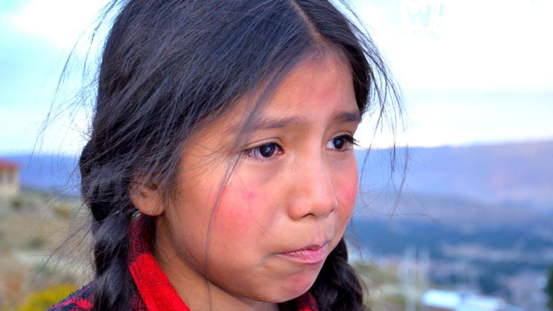 Warmi : La Película - Colección