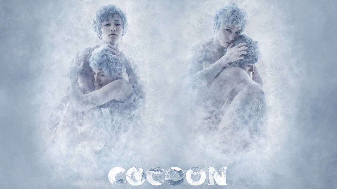 COCOON Hoshi Hitotsu