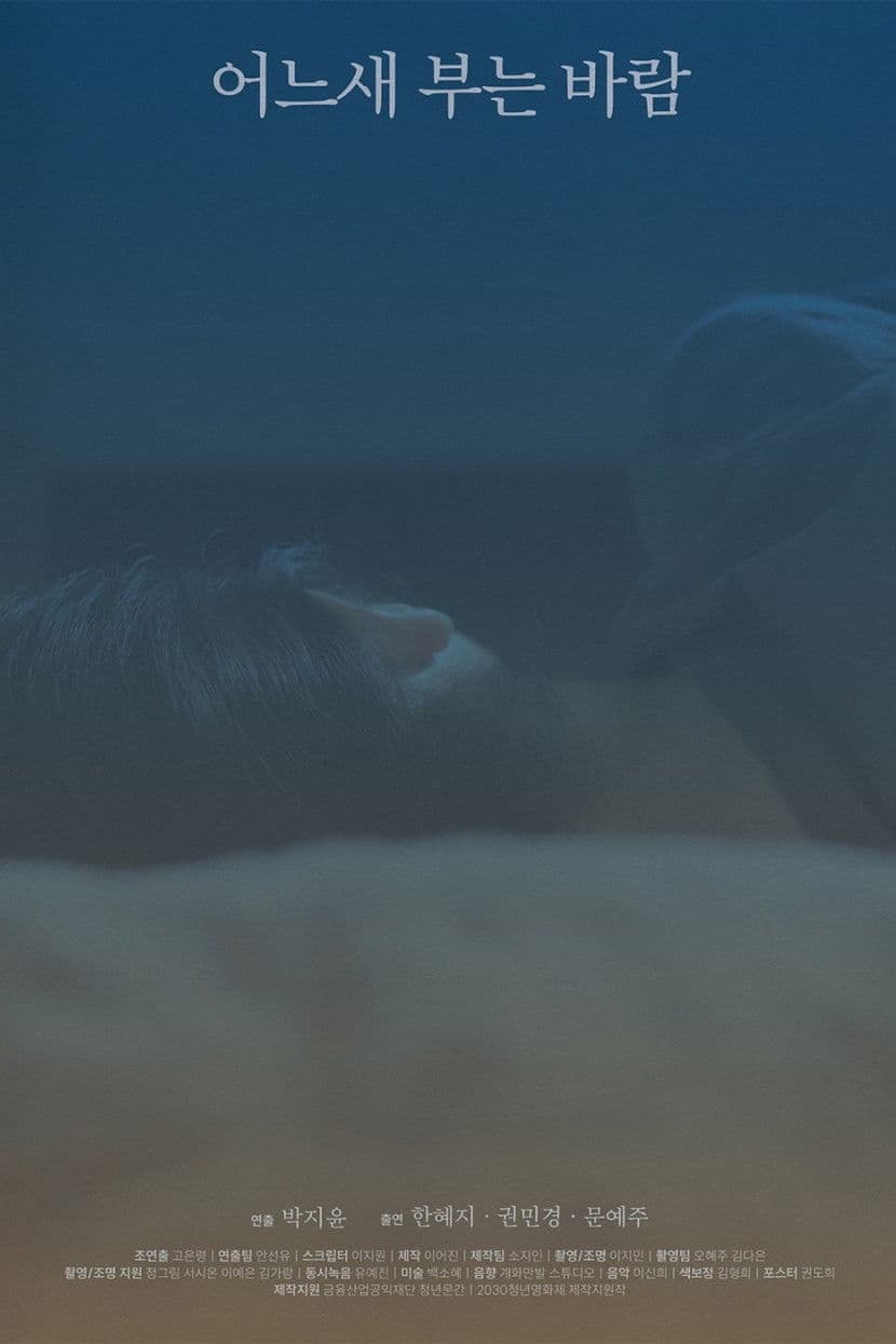 The Consolation of the Wind