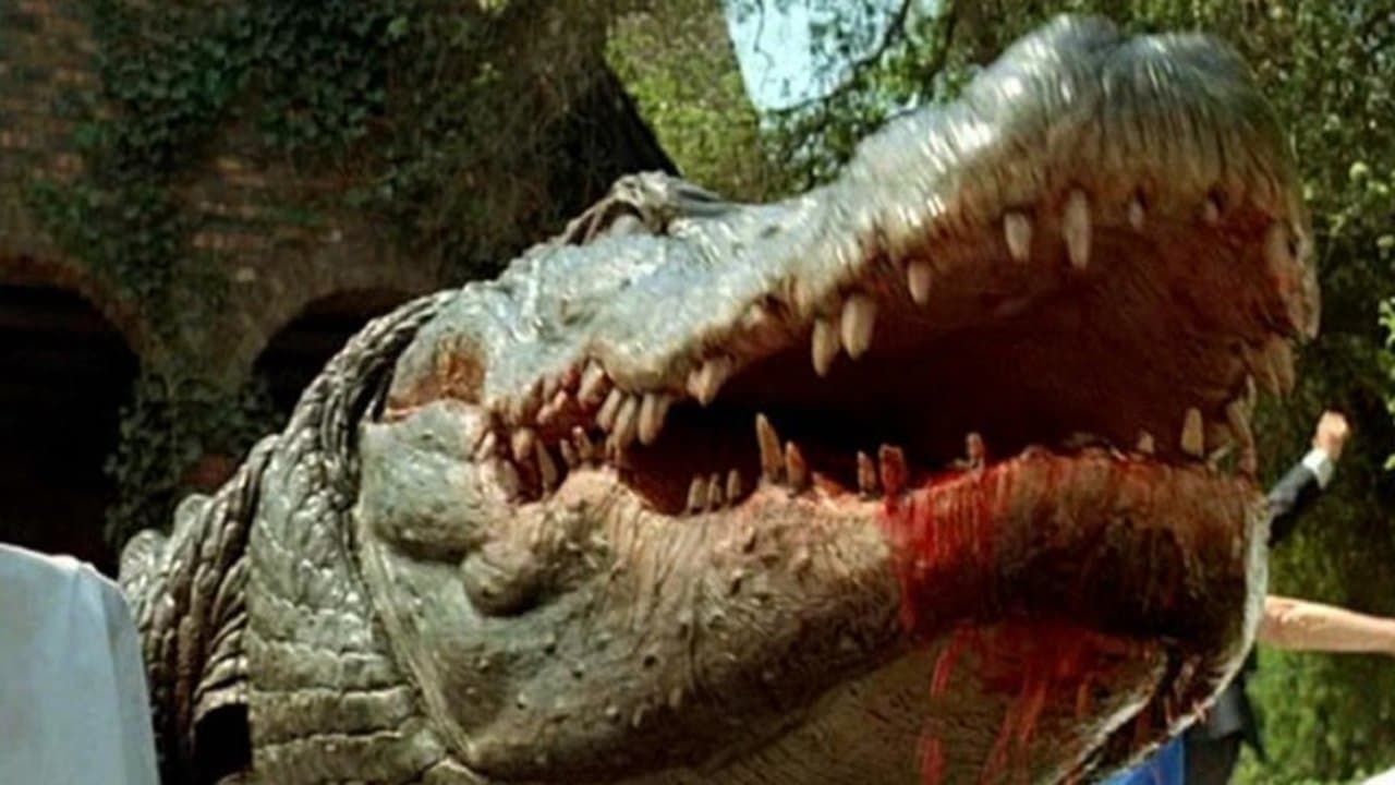 Crocodile Collection