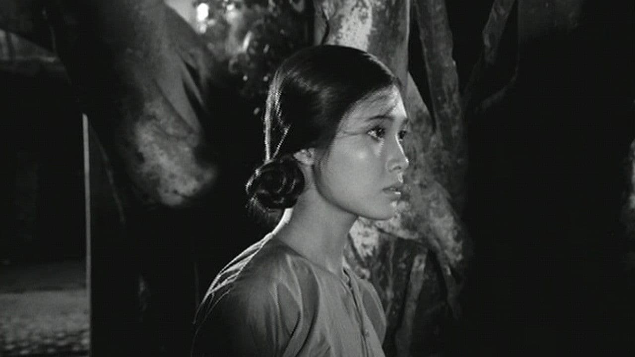 When the Tenth Month Comes