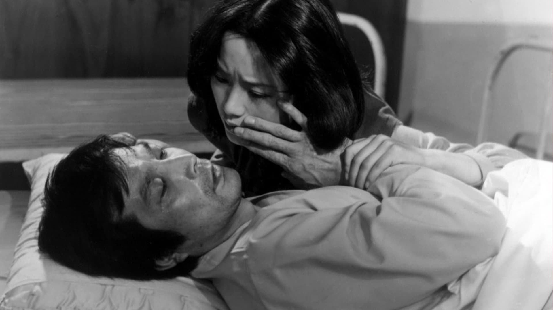 Heavenly Homecoming of Stars Collection