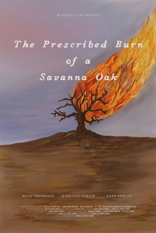 The Prescribed Burn of a Savanna Oak