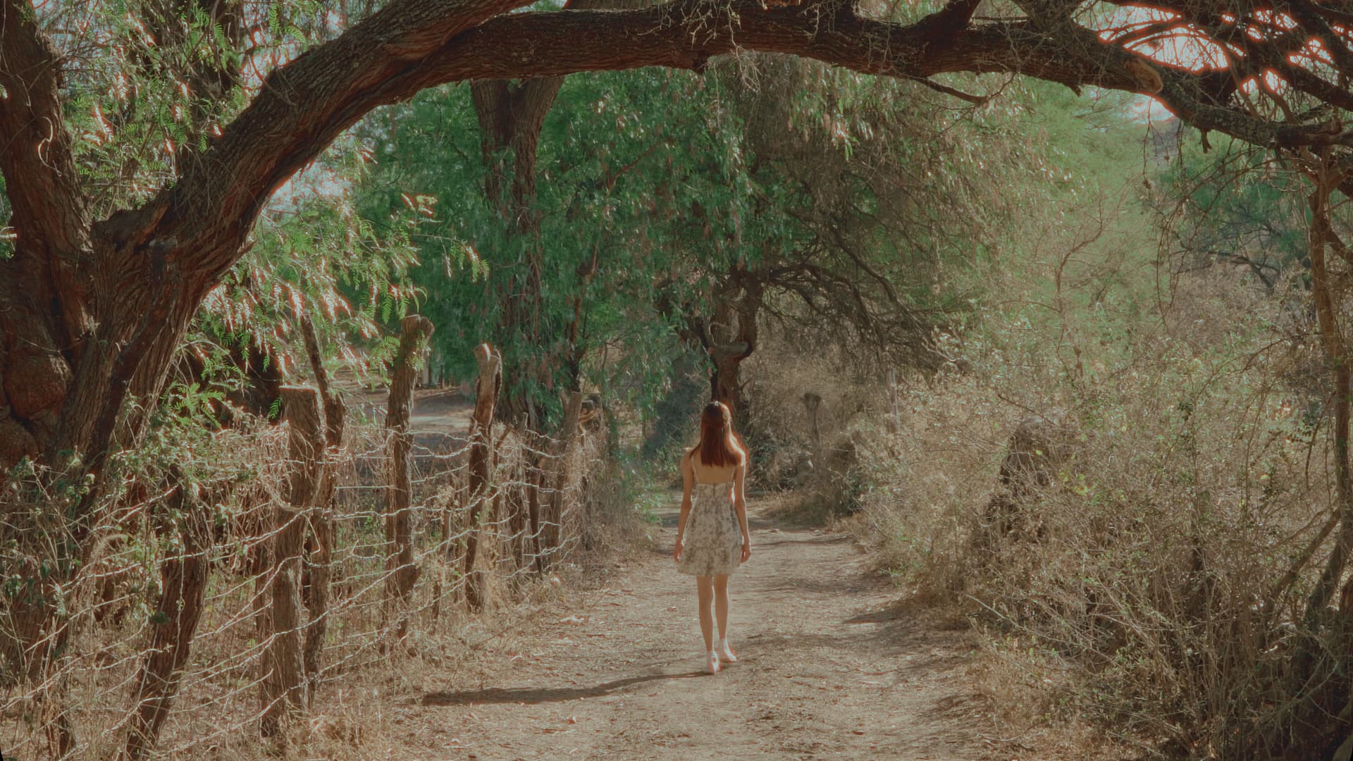 Emotional Landscapes