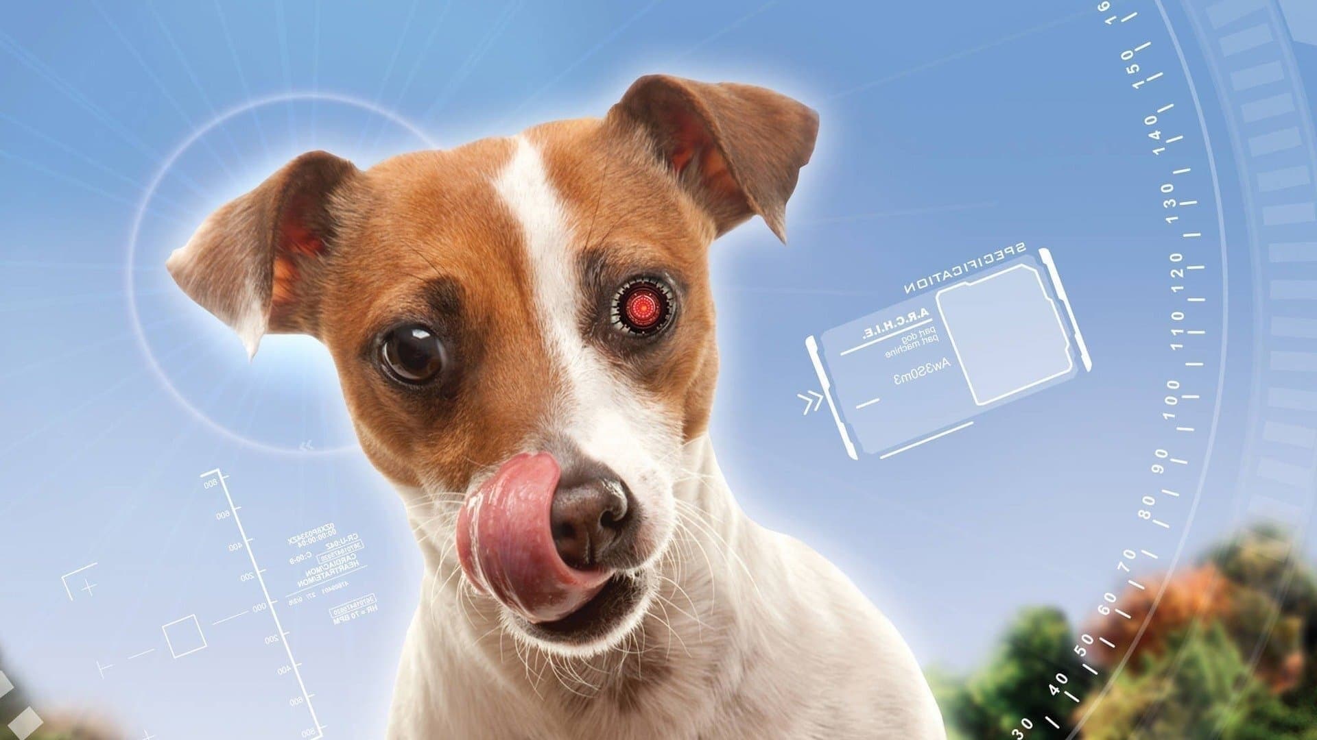 A.R.C.H.I.E. Collection