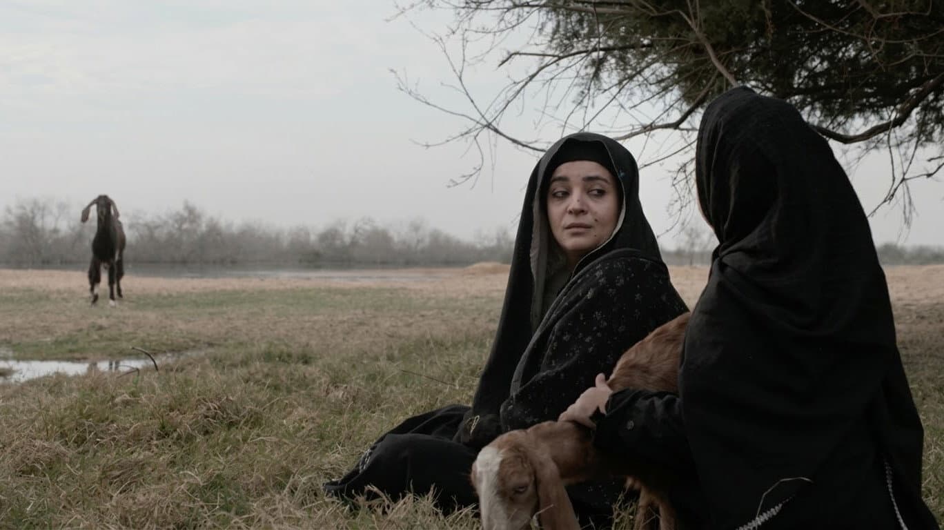 My Village Blamed Women for the End of Mankind