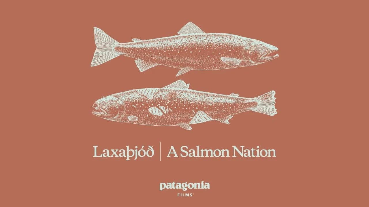 Laxaþjóð - A Salmon Nation
