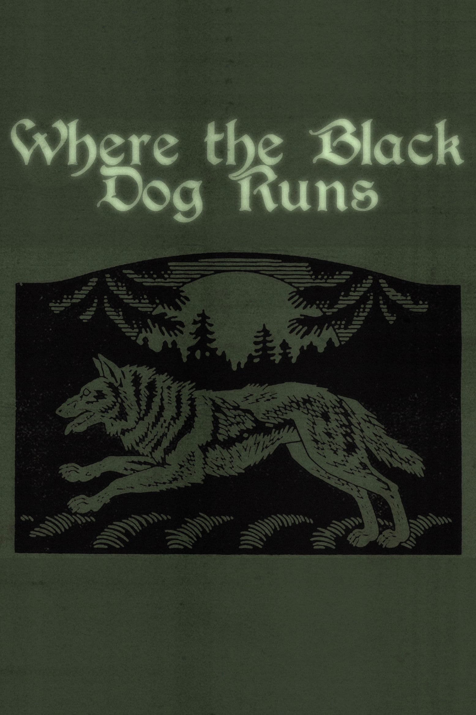 Where the Black Dog Runs