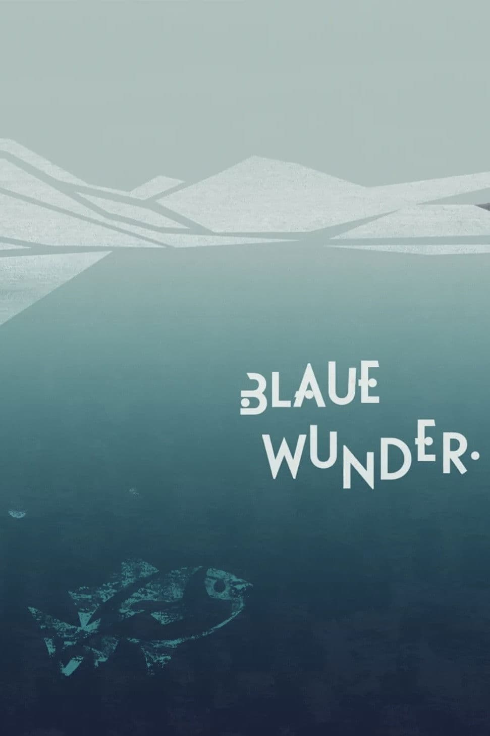 A Thousand Questions and One Miracle