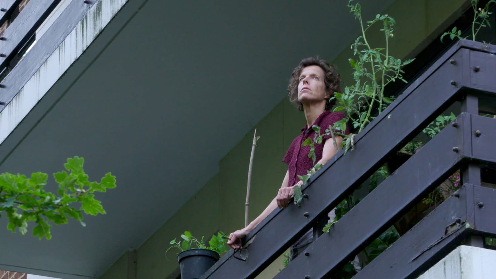 L'été avant l'internat