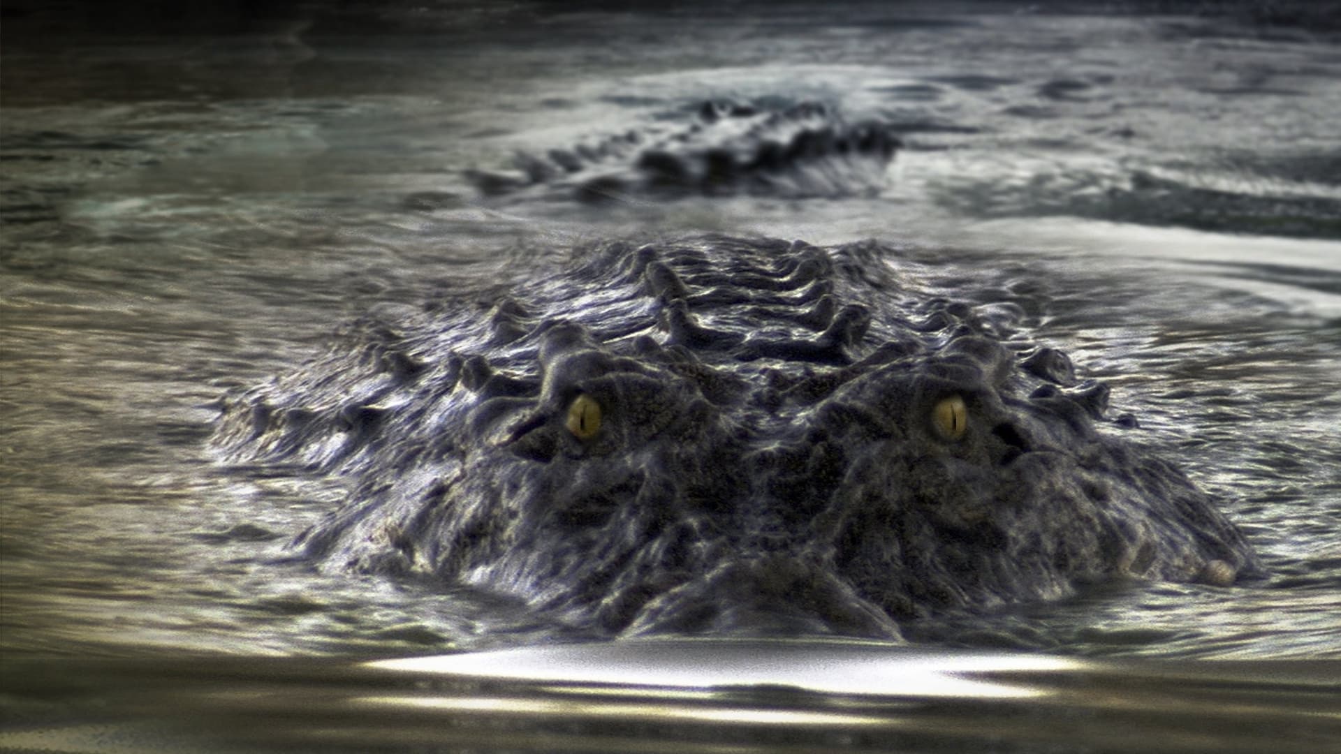 Black Water Collection