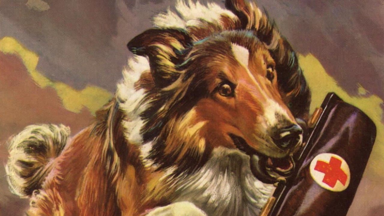 MGM's Lassie Collection
