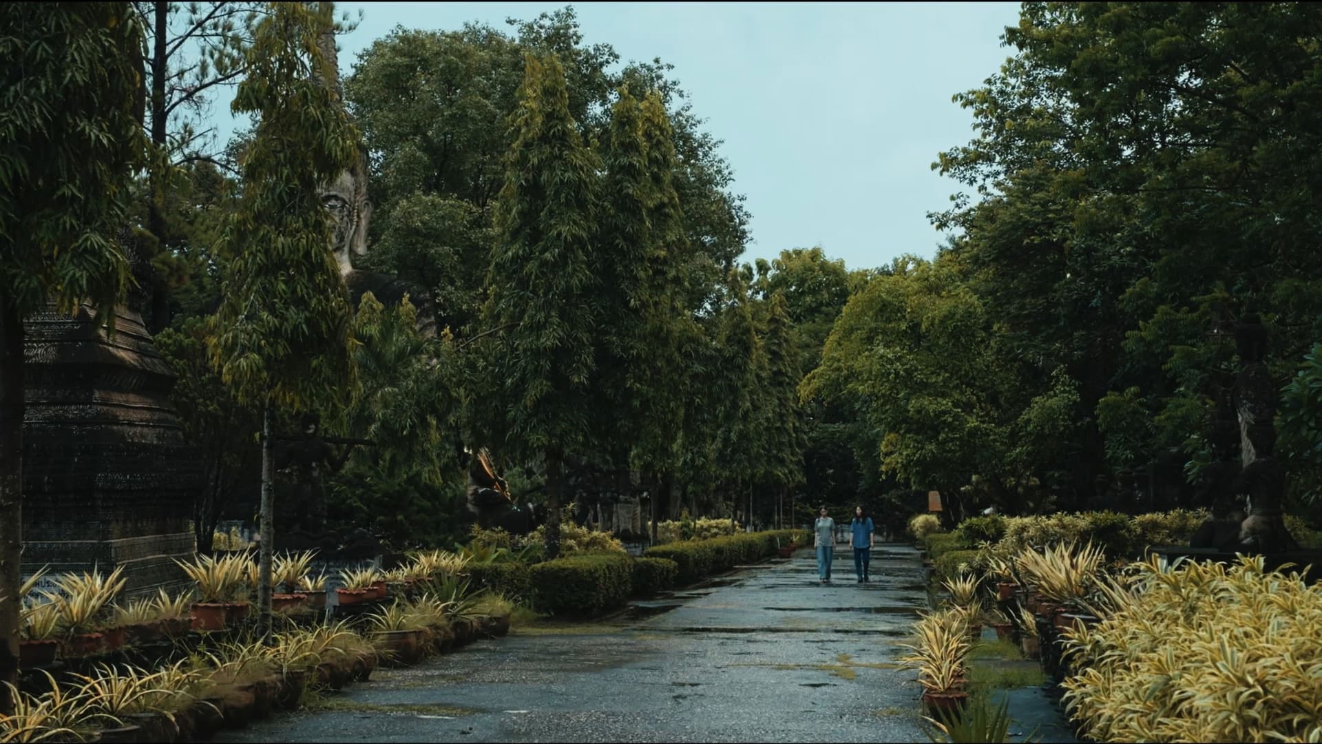 The Observer's Journal