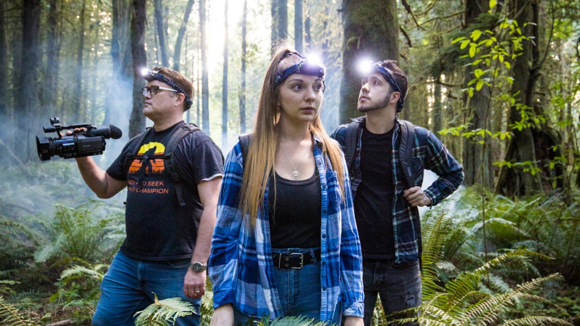 Legend of the Forest