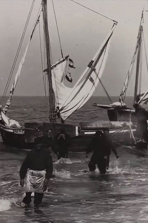 Dutch Fishing Boats