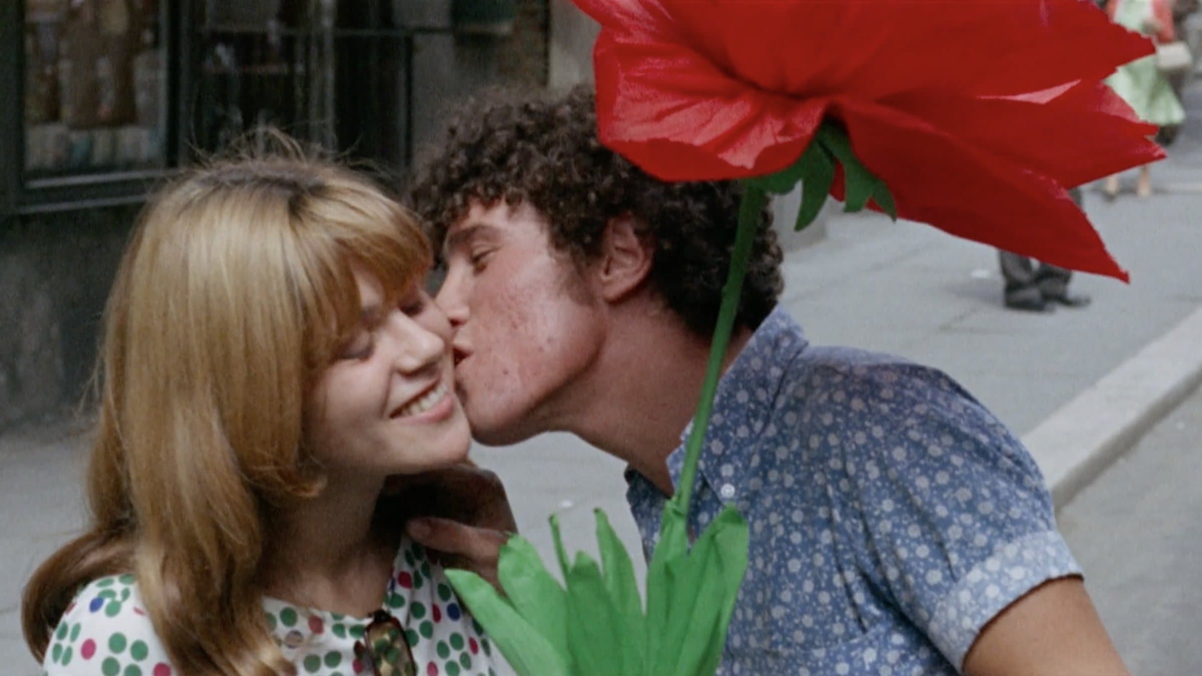 The Sequence of the Paper Flower