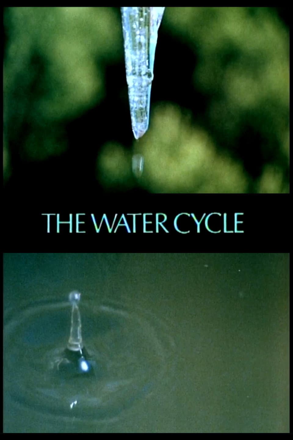 The Water Cycle
