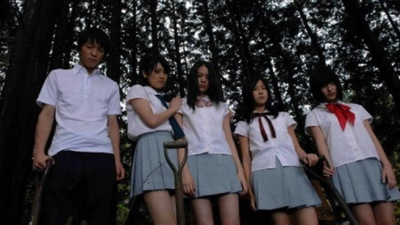 Shrill Cries Collection