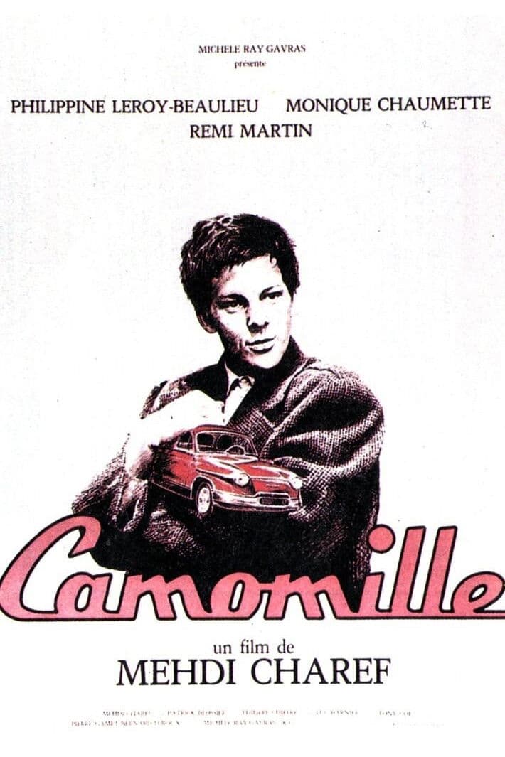 Camomille