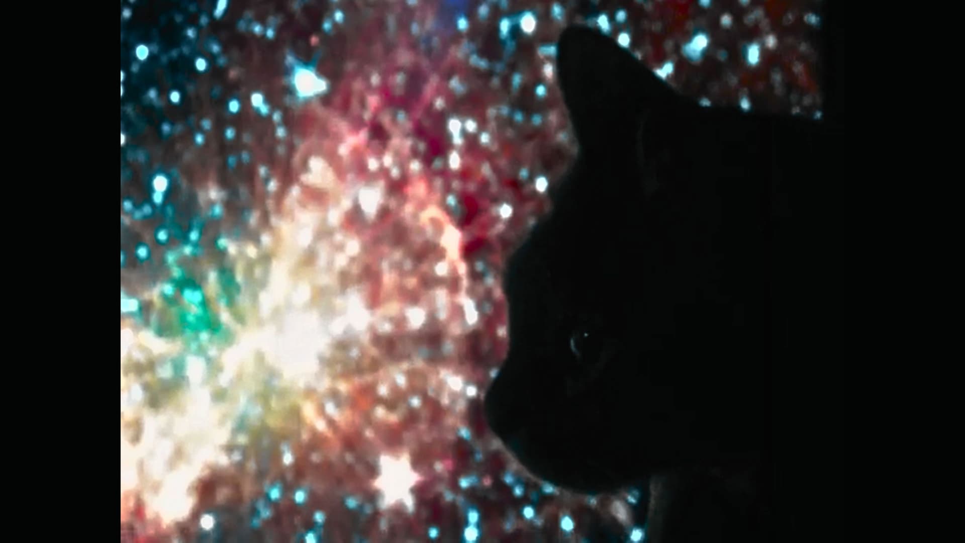 O Subjetivo Observatório