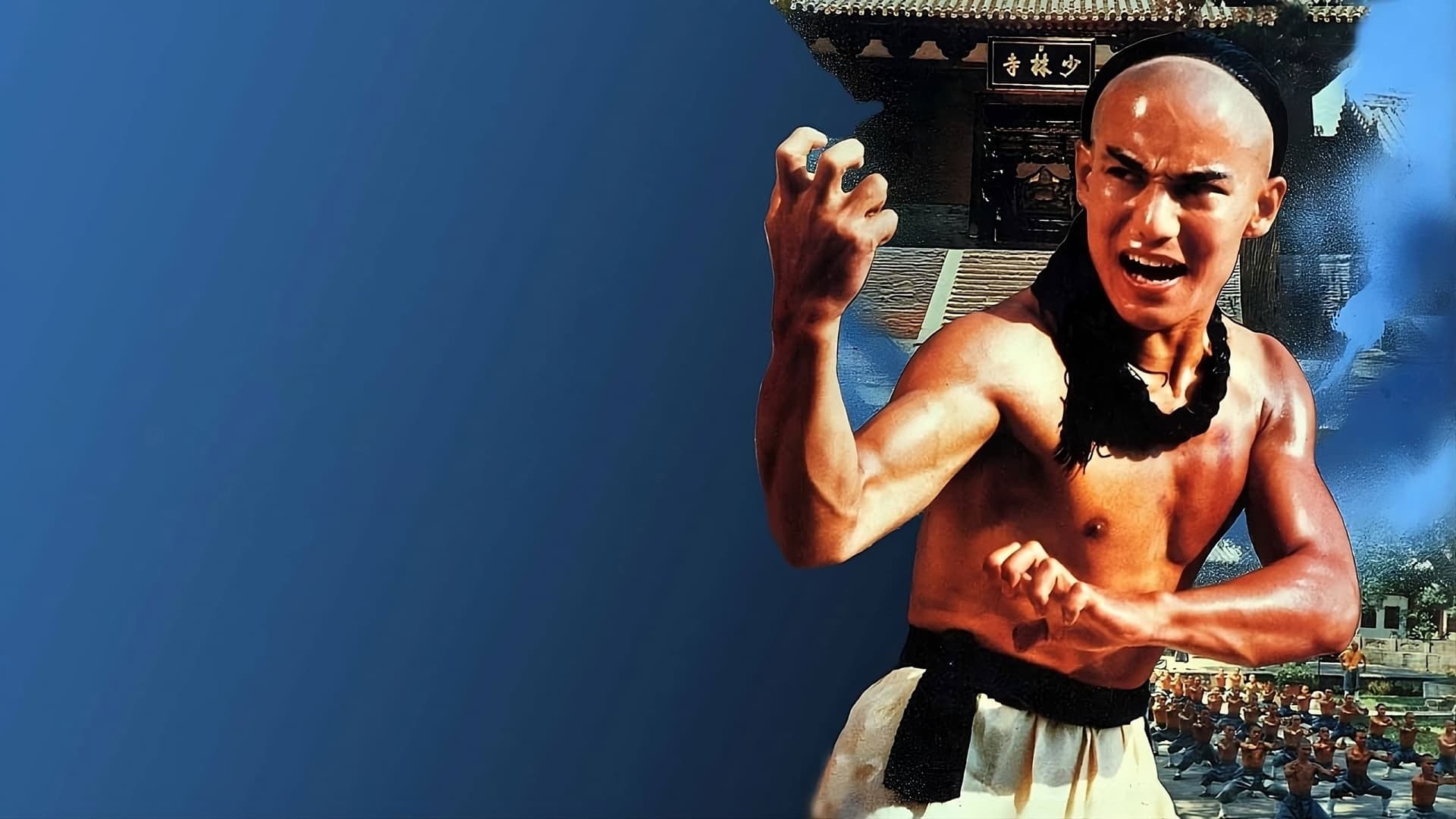 The Young Hero of Shaolin Collection