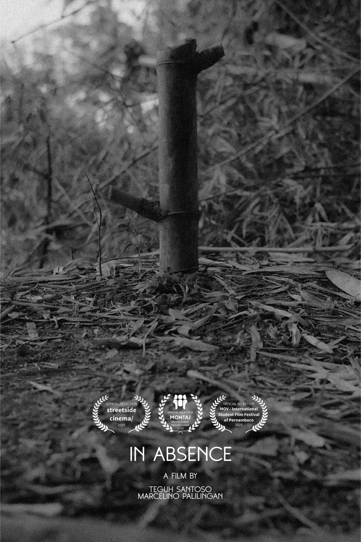 In Absence
