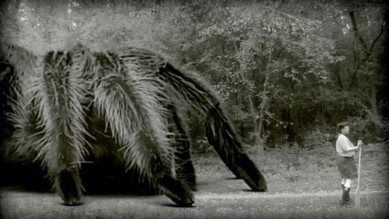 The Giant Spider